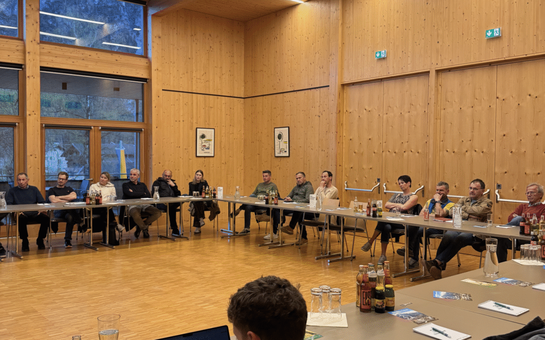 Gemeinsam stark: Osttirols Wirtschaft setzt auf Energiegemeinschaften
